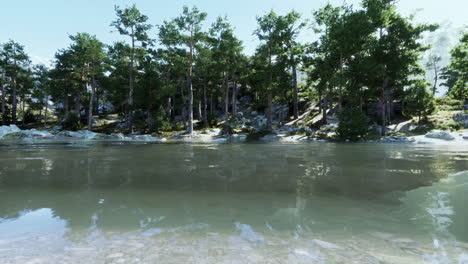 serene mountain lake with pine forest