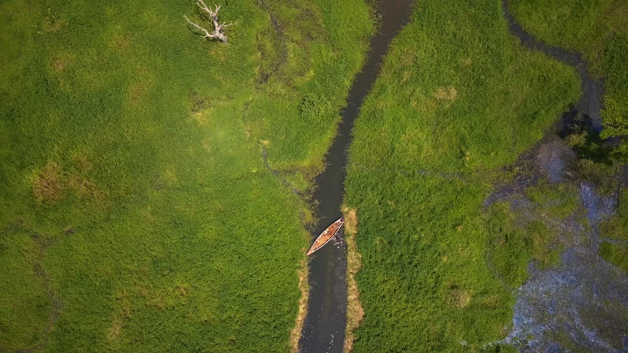 Top down drone ascend over fisherman and canoe in a narrow Nile River tributary in Uganda, creating a geometric patchwork of green wetlands, water channels, and floating vegetation seen from above