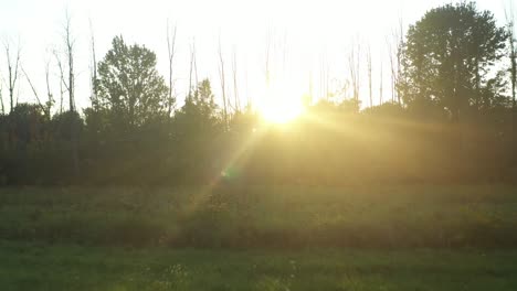 supper fast drone shot into the sun over the sacred grove of trees near the joseph smith family farm, frame house, temple, visitors center, palmyra new york origin locations mormons book of mormon