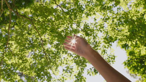 hand-reaching-for-sunlight-touching-sun-shining-between-fingers-catching-sunshine-in-forest-woods