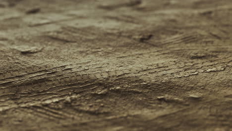 detailed texture of a brown surface with intricate patterns and lines