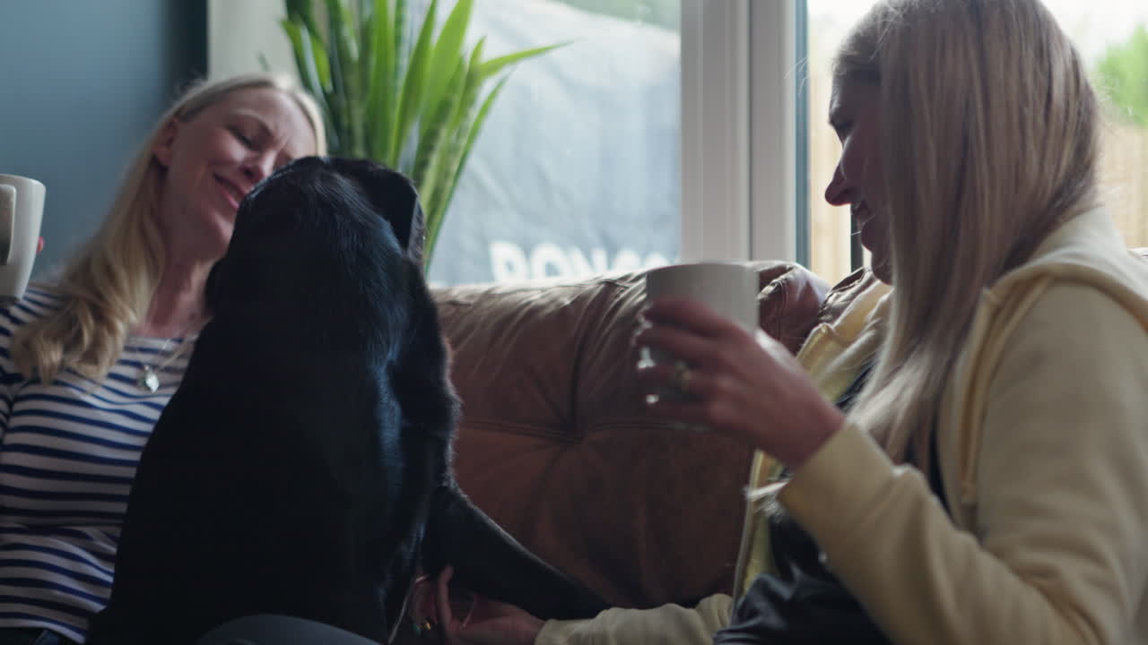 Woman petting a labrador retriever on the couch