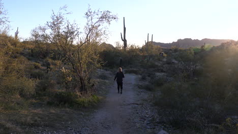woman hiking in the sonoran desert at sunset