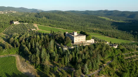 aerial shot castle in vineyard