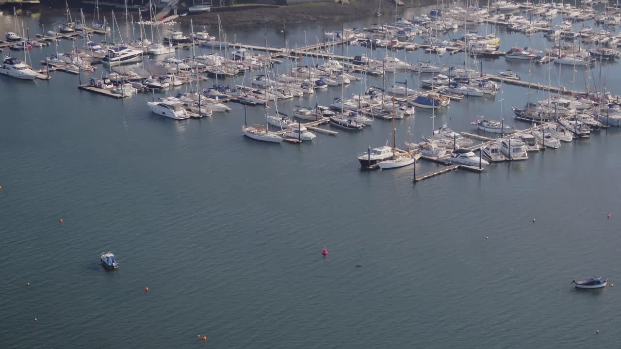 A pod of dolphins linger around a buoy in the Penryn river right next to the Ponsharden marina in Falmouth. Falmouth docks in the background