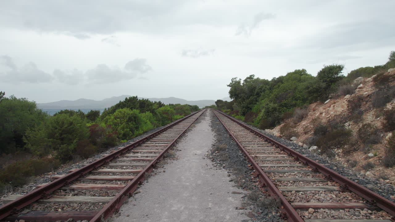 Metallic train tracks disappearing into the distance on a cloudy day, surrounded by vegetation