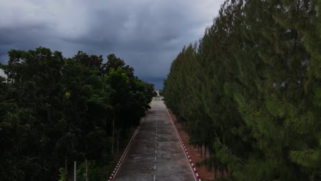 aerial footage of a coming dark storm along a rural country road lined with trees