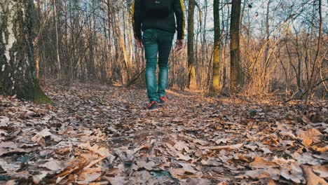 Mann-Geht-Während-Eines-Sonnenuntergangs-Im-Wald-An-Der-Kamera-Vorbei-Und-Von-Ihr-Weg