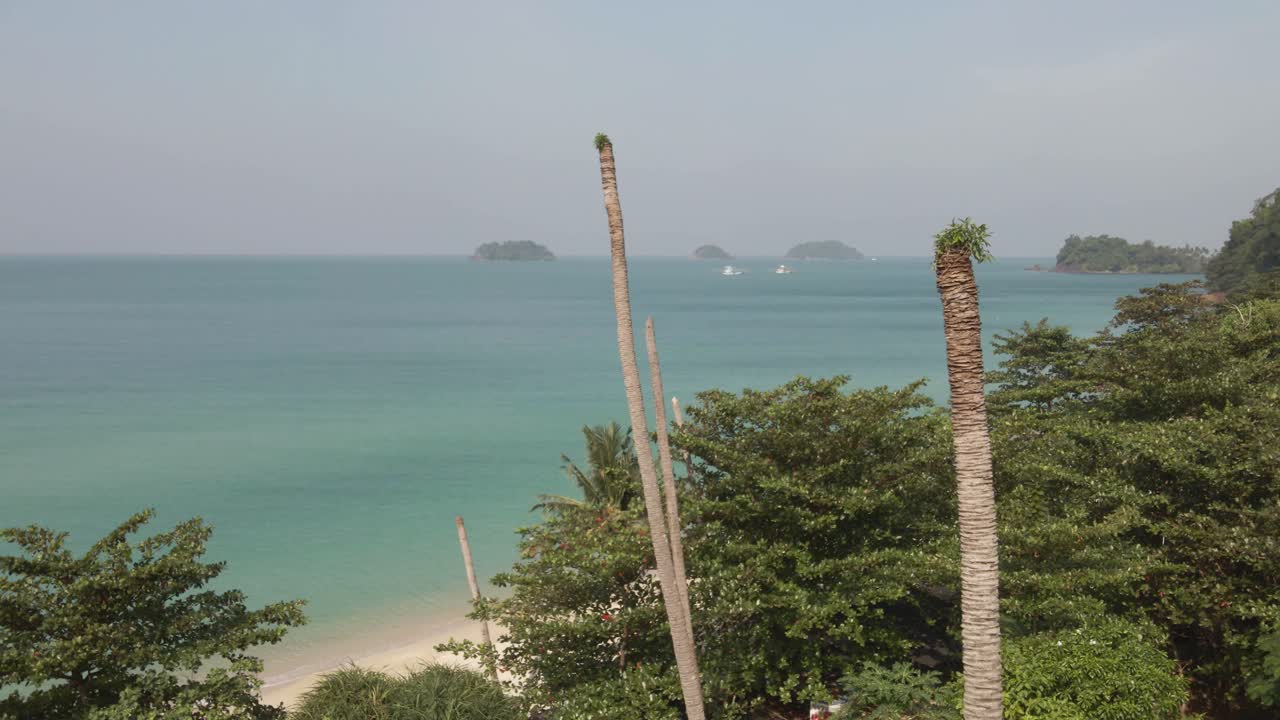 Carrellata aerea di palme tropicali morte su una spiaggia con isole e giungla