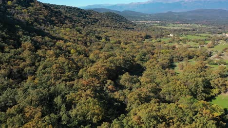 vuelo en un valle sobre un bosque de robles con sus colores de otoño ubicado en una ladera y descubriendo en el fondo con una cámara un sistema de montañas y un cielo azul en ávila españa