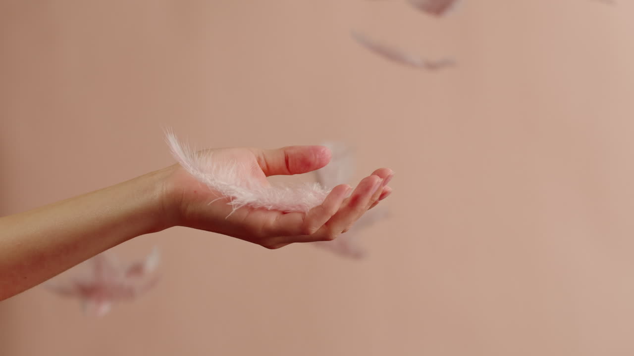 Delicate Feather in Hand