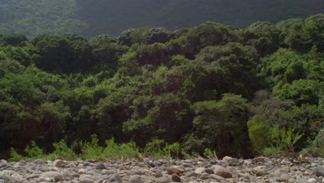 River-rocks-near-a-mountain-in-a-jungle-of-Veracruz,-Mexico