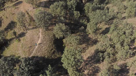 Toma-De-Drones,-Toma-Aérea-De-Un-Bosque