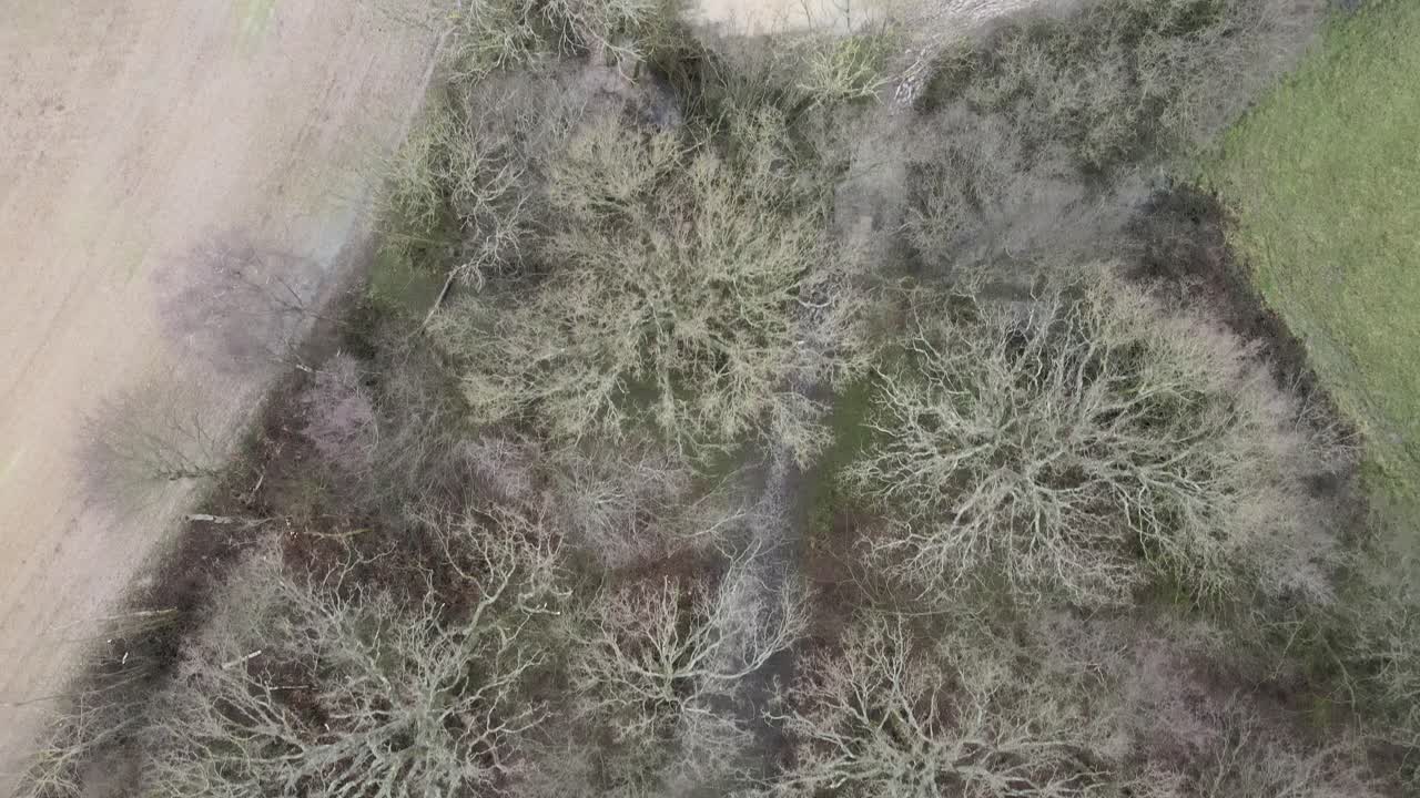 Overhead Aerial woodland and bare farm field England 