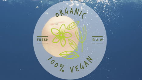 animación de texto orgánico 100 por ciento vegano sobre fruta que cae en el fondo del agua