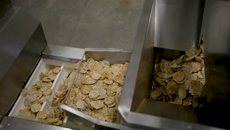 Close-shot-of-a-einkorn-chips-going-trough-a-machine