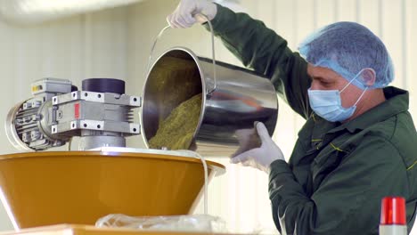 worker pour out the tea into machine at factory