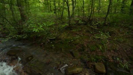 PAN-from-a-forest-view-to-a-view-of-a-creek-as-it-flows-over-and-around-rocks-in-a-forest-in-the-summer