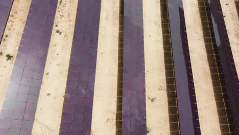 aerial view of solar power station surrounded of agricultural fields in spain