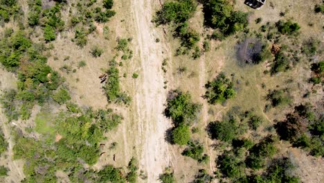 aerial drone view of africa