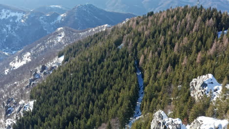 Montañas-Nevadas-Con-Bosques-Siempre-Verdes,-Nadie,-Luz-Del-Día,-Vista-Aérea