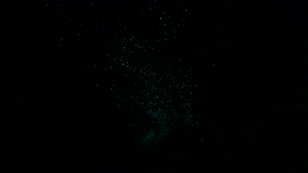 Images en très basse lumière de vers luisants bioluminescents brillant sur le plafond sombre d'une grotte à Waitomo, Nouvelle-Zélande, créant un effet étoilé naturel sur un fond noir