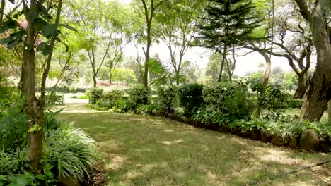 africa home compound-green bio organic low waste smart agriculture - family bonding time togetherness kenya africa covid 2020-2021 social distancing 2020 new year 2021