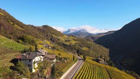 aerial drone over the vineyards in autumn in ritten, alto adige in italy