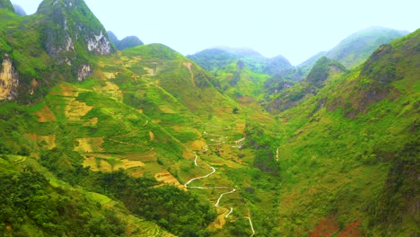 dolly aéreo delante de un camino sinuoso cortado en la ladera de la montaña de las montañas nubladas del paso ma pi leng en el norte de vietnam