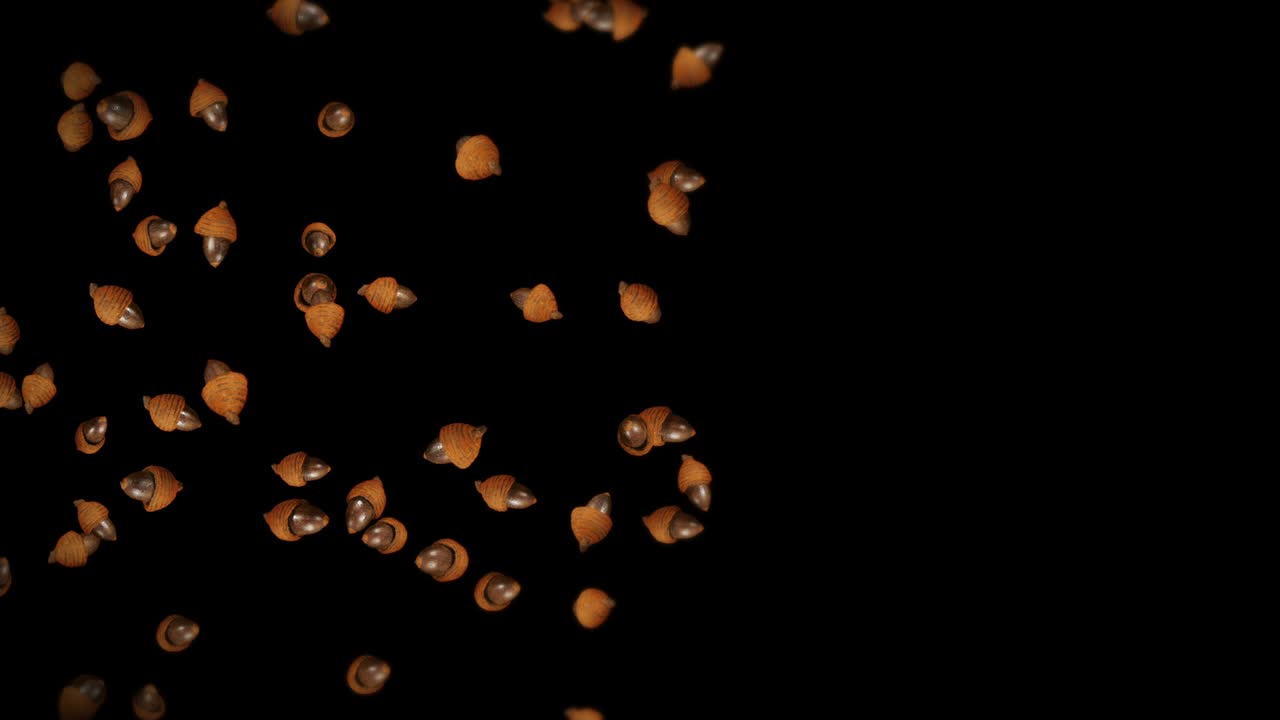 Flying many autumn acorns on black background. Symbol of fall, Oak nuts, Gifts of fall. 3D animation of acorn seeds rotating. Loop animation.