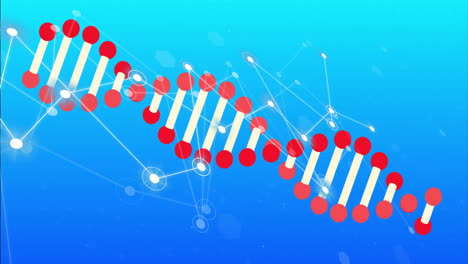 animación de la cadena de adn y redes de conexiones