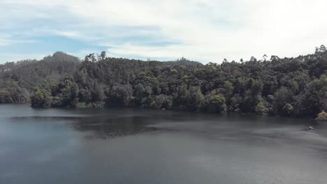 Lush-forest-and-calm-river,-Munnar,-Kerala,-India