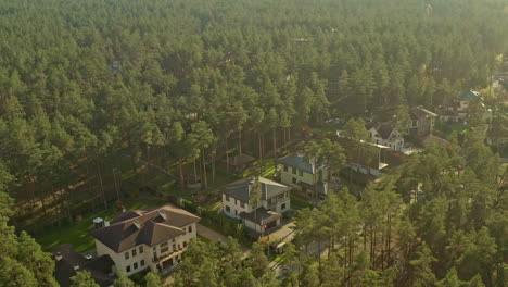 beautiful aerial shot of a suburban area with stunning houses during golden hour sunset in the forest