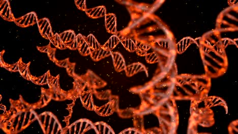 dna code. abstract 3d polygonal wireframe dna molecule helix spiral. loop animation.