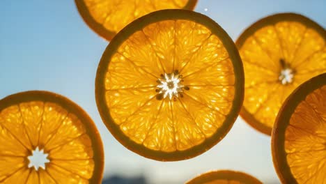 vibrant slices of orange against a clear sky: a glorious display of citrus beauty illuminated by sunlight