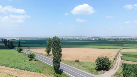 Aerial-View-Of-Country-Road,-Trees,-And-Crops-Growing-On-The-Field-At-Daytime