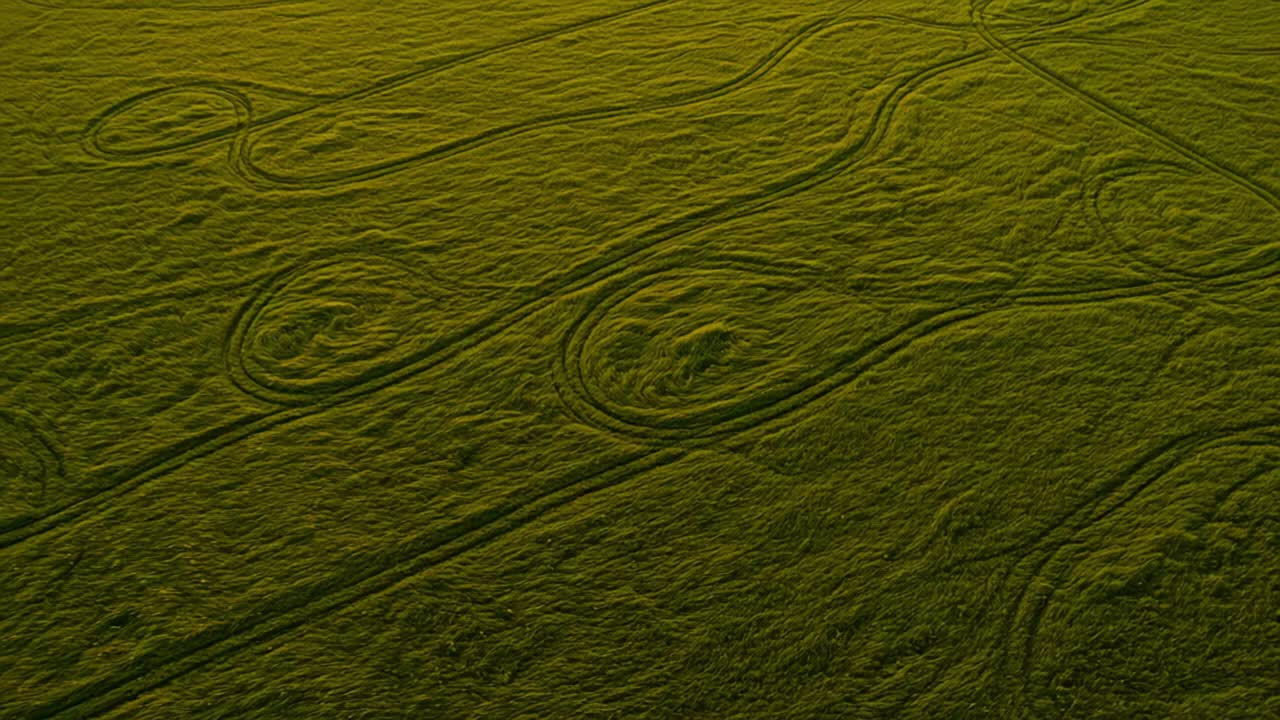 Aerial View of Intricate Patterns on a Green Landscape, Showcasing Natural Curves and Lines Created by Traction on a Lush Surface Over Time
