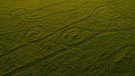 aerial view of intricate patterns on a green landscape, showcasing natural curves and lines created by traction on a lush surface over time