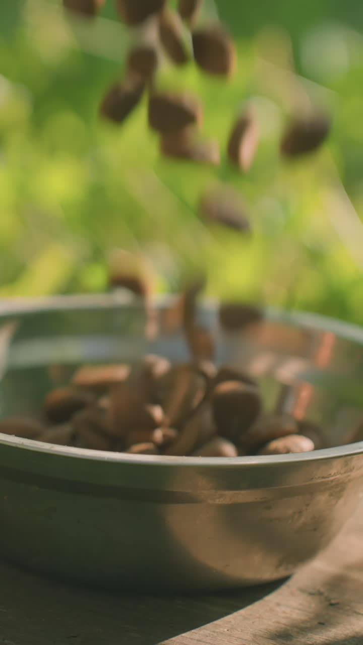 은 녹색 식물과 부드러운 자연 빛에 둘러싸여 나무판 위에 금속 그에 여있는 개 먹이의 가까운 모습