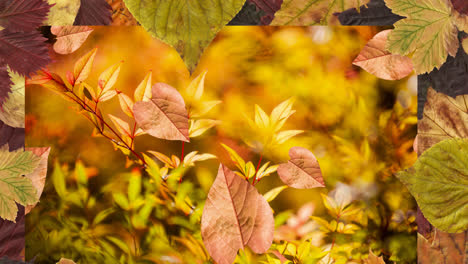 animación de hojas que caen sobre el paisaje de otoño