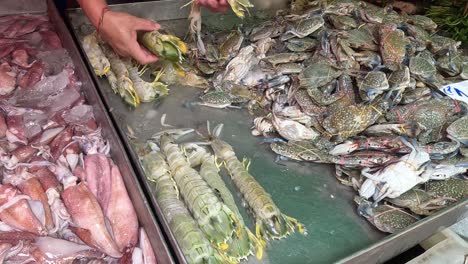 persona que organiza varios mariscos en hielo para su exhibición