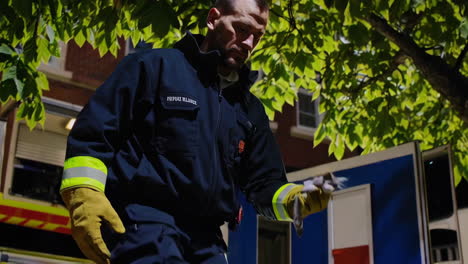 firefighters in action and rescuing a kitten