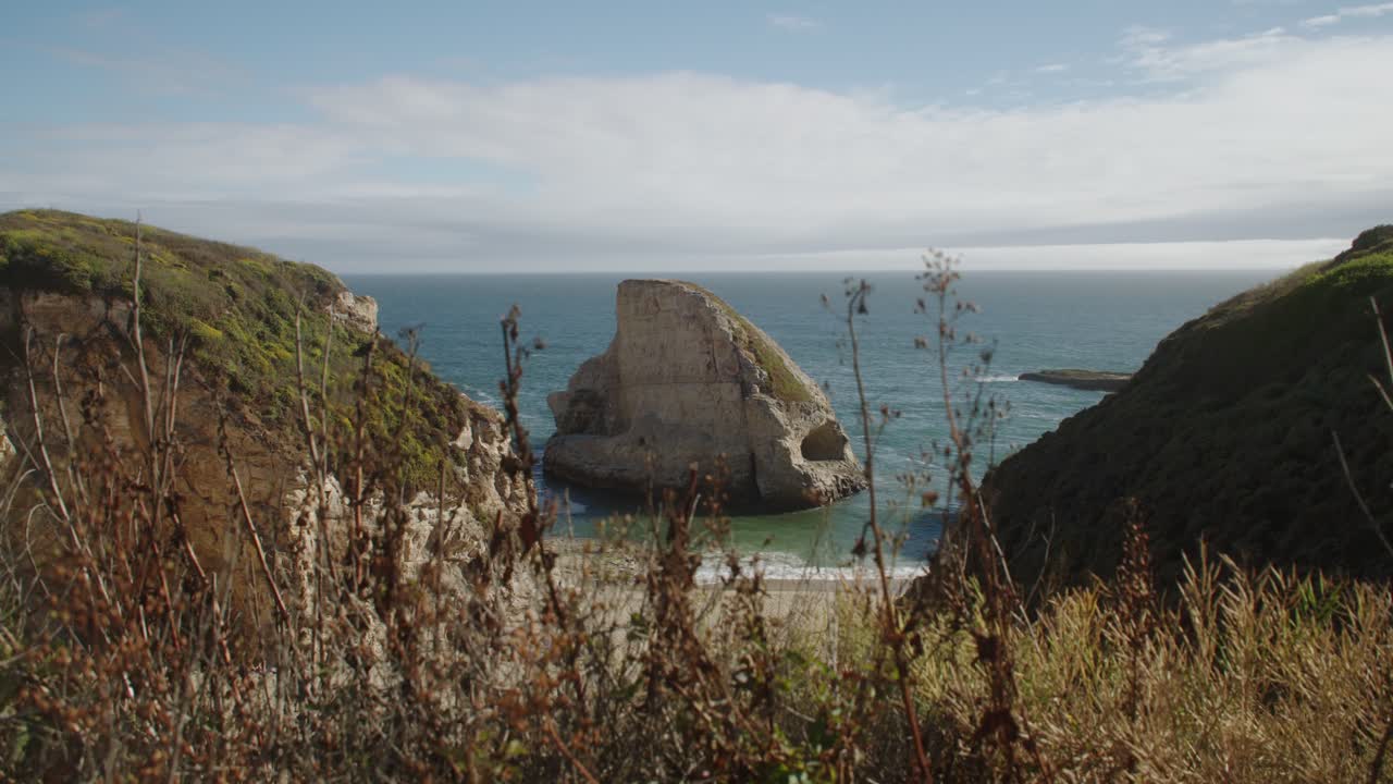 전경에서 부드럽게 흔들리는 식물을 통해 본 데이븐포트의 상어 지느러미 만