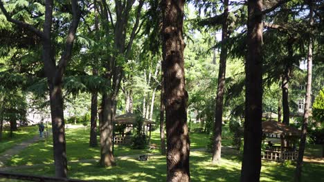 park gazebo and lush trees