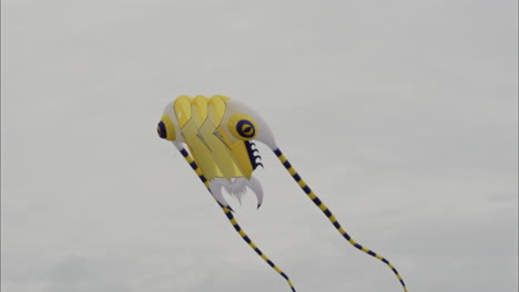 A-kite-in-the-sky-dances-alone-with-the-wind-on-an-overcast-day