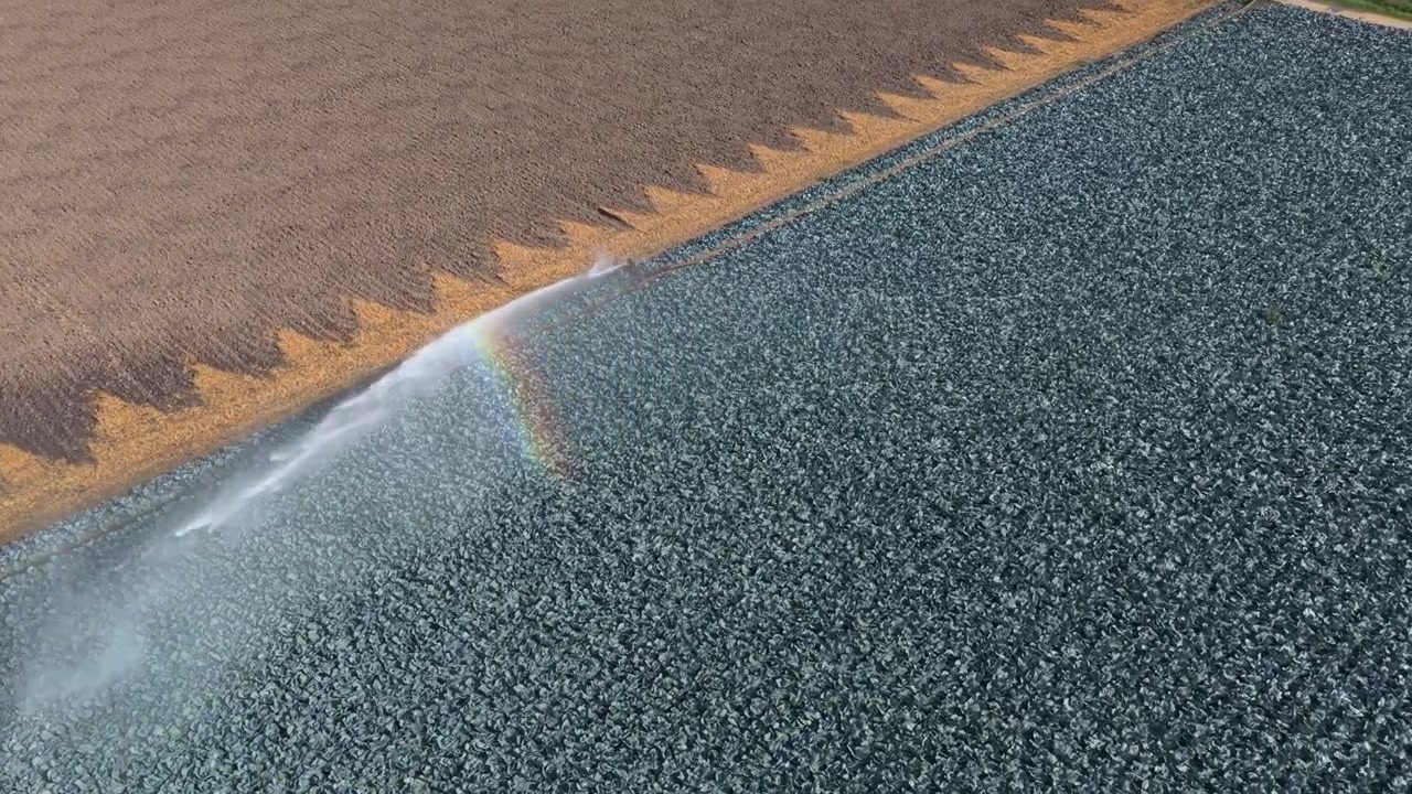 Vista aerea di un sistema di irrigazione agricolo che irriga un campo