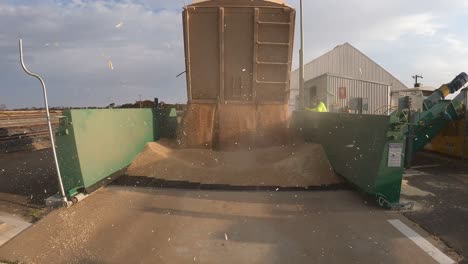 backwards shot of unloading of grain into storage grid, western australia