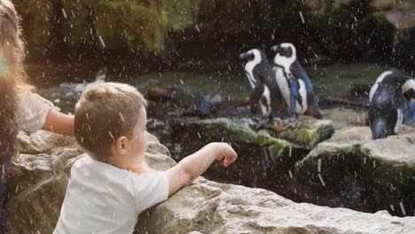 animation of snow falling over caucasian siblings watching penguins