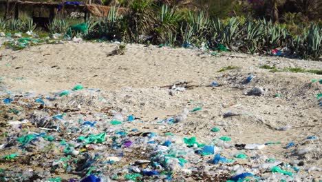 devastating pollution lines the beach at bãi chuối banana point thung beach vietnam. unacceptable environmental damage