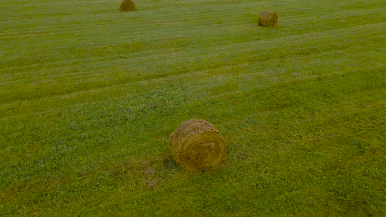 Aerial drone footage orbiting and flying around a frehsly made silage wheat hay bale roll that is on a grassy green and cloudy farm field land, other hay bales are visible in the background as well